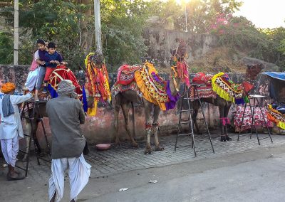 Camel ride at Dudh Talai Lake in Udaipur